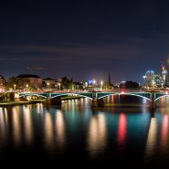 FFM 2013